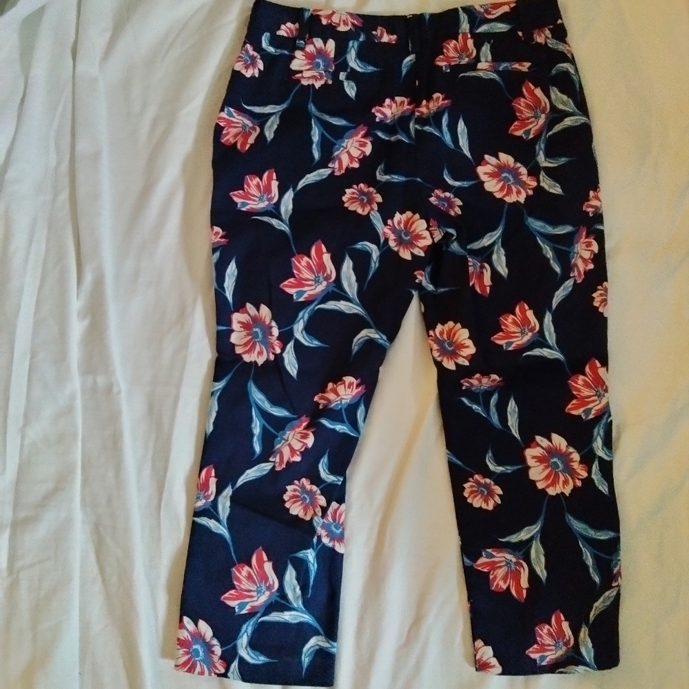 ⬇️Price Drop!⬇️Land's End Cropped Pants in size 10P